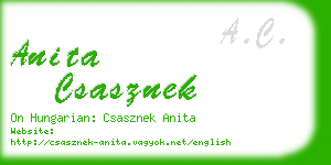 anita csasznek business card